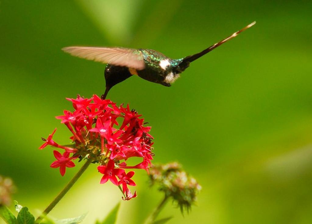 Reserva Natural Atitlan Panajachel Kültér fotó